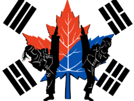 TAEKWONDO-VERSION-2.webp